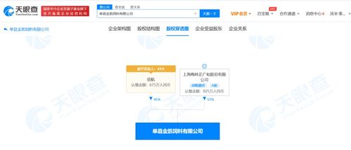 国内贸易代理 连接供需的桥梁与引擎